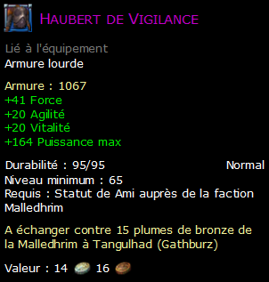 Haubert de Vigilance