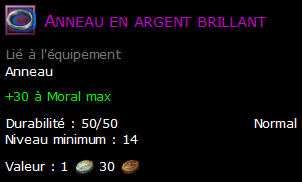 Anneau en argent brillant