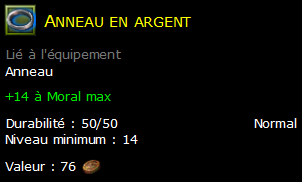 Anneau en argent