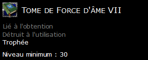 Tome de Force d'âme VII