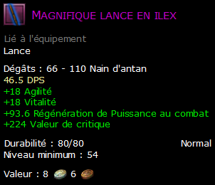 Magnifique lance en ilex