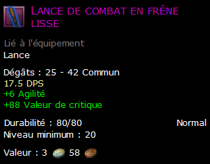 Lance de combat en frêne lisse