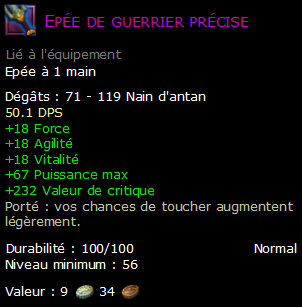 Epée de guerrier précise