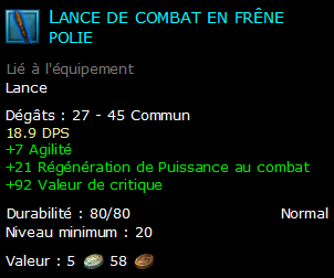 Lance de combat en frêne polie