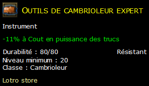 Outils de cambrioleur expert