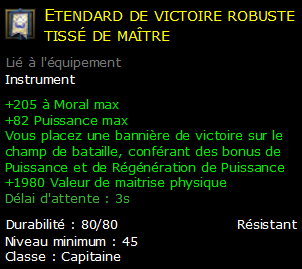 Etendard de victoire robuste tissé de maître