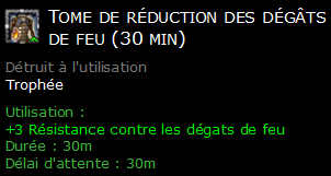 Tome de réduction des dégâts de feu (30 min)