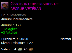 Gants intermédiaires de recrue vétéran