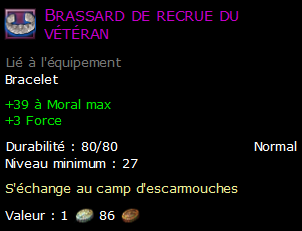 Brassard de recrue du vétéran