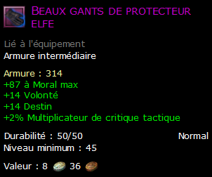 Beaux gants de protecteur elfe