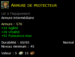 Armure de protecteur