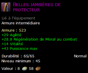 Belles jambières de protecteur