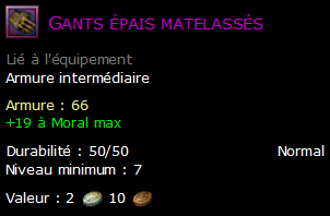 Gants épais matelassés