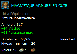 Magnifique armure en cuir