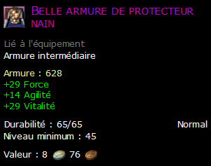 Belle armure de protecteur nain