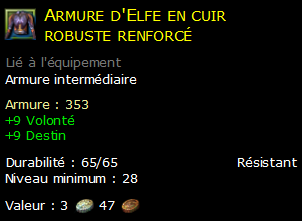 Armure d'Elfe en cuir robuste renforcé