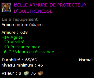 Belle armure de protecteur d'ouistrenesse