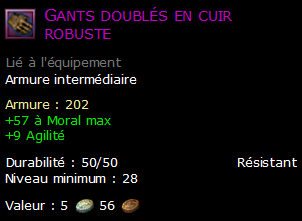 Gants doublés en cuir robuste