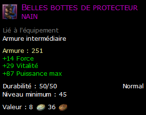 Belles bottes de protecteur nain