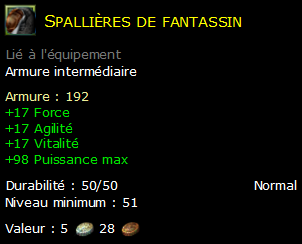 Spallières de fantassin