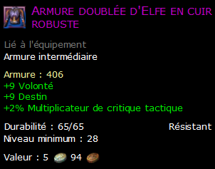 Armure doublée d'Elfe en cuir robuste