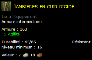 Jambières en cuir rigide