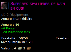 Superbes spallières de nain en cuir