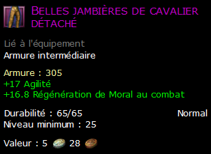 Belles jambières de cavalier détaché