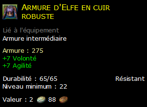 Armure d'Elfe en cuir robuste