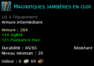 Magnifiques jambières en cuir