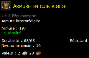 Armure en cuir rigide