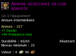 Armure résistante en cuir robuste