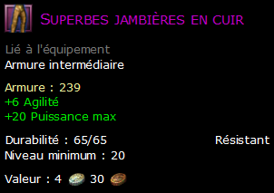 Superbes jambières en cuir