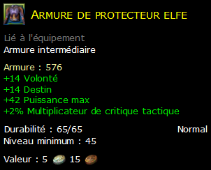 Armure de protecteur elfe