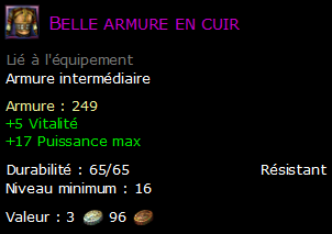 Belle armure en cuir