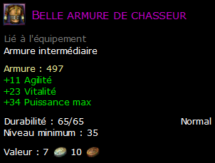 Belle armure de chasseur