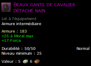 Beaux gants de cavalier détaché nain