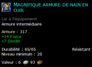 Magnifique armure de nain en cuir