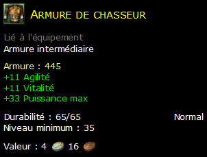 Armure de chasseur