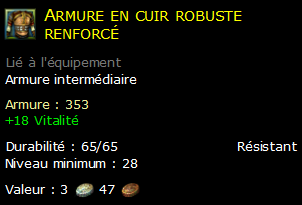 Armure en cuir robuste renforcé