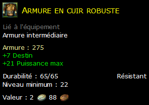 Armure en cuir robuste