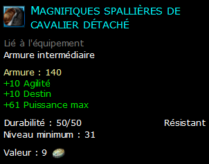 Magnifiques spallières de cavalier détaché