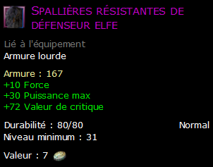 Spallières résistantes de défenseur elfe