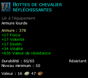 Bottes de chevalier réfléchissantes