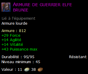 Armure de guerrier elfe brunie