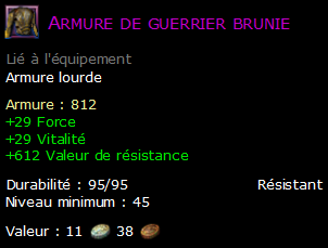 Armure de guerrier brunie