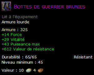 Bottes de guerrier brunies