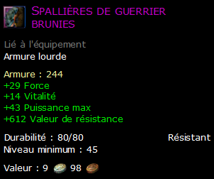 Spallières de guerrier brunies