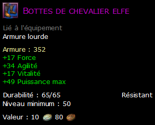 Bottes de chevalier elfe