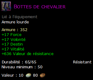 Bottes de chevalier